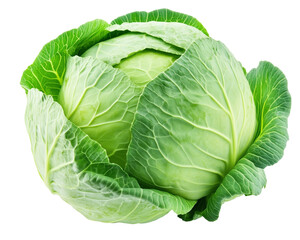 Green cabbage isolated on white background clipping path