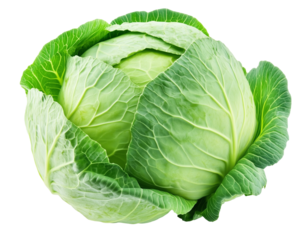 Green cabbage isolated on white background clipping path