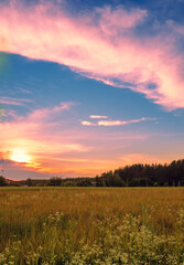 Fototapeta premium Rural landscape in the evening at sunset. Vertical shot