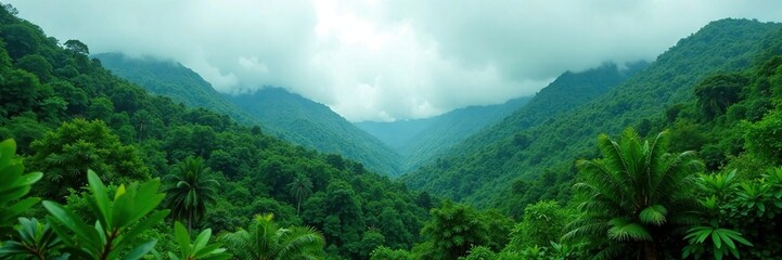 Obraz premium Dense green forest amidst grey monsoon clouds, nature, greenery, wild