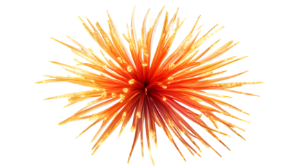 A vibrant fireworks display in red and gold, isolated on white 