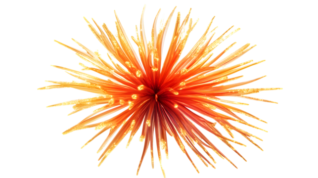 A vibrant fireworks display in red and gold, isolated on white 