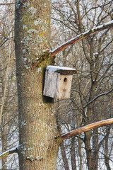 Wooden birdhouse attached to a tree in the forest during winter