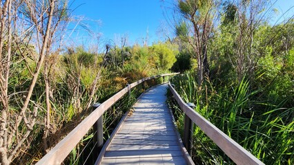 Yanchep National Park in Western Australia