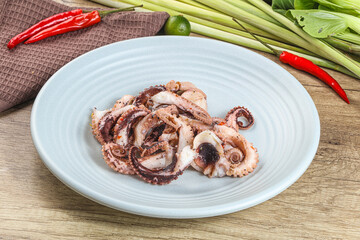 Grilled octopus tentacle sliced appetizer