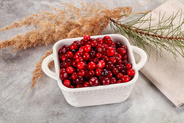Ripe sweet sour cranberry heap