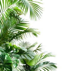 Fototapeta premium Lush Green Tropical Leaves Isolated on White Background for Design