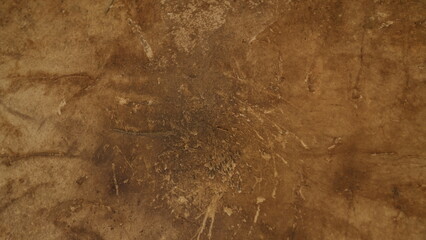 Textured Background with Earthy Tones and Natural Patterns