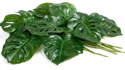 Artificial Monstera deliciosa leaves, vibrant green,  perfect for decoration.
