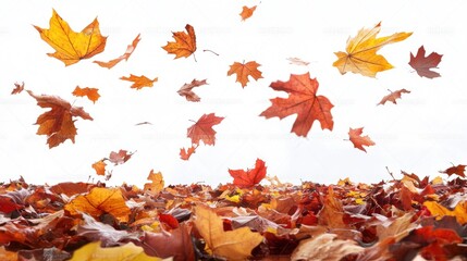 Autumn leaves falling, vibrant fall foliage scattered on the ground.