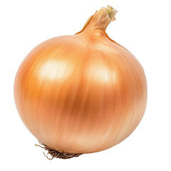Fresh onion bulb isolated on white background clipping path