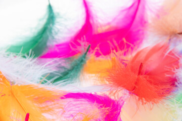 Many feathers, wings, angels, clothes, fashion, watercolor, painting, colors, paints, backgrounds, tribes, Native Americans, backgrounds, patterns, swans, princesses, art, color palettes, cool