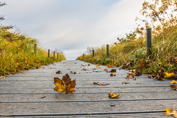 Herbst