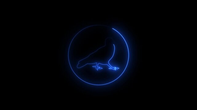 inca tern bird exotic neon light sign vector. inca tern bird exotic sign. isolated symbol illustration