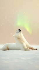 Polar Bear Gazing at the Aurora Borealis in Snowy Landscape