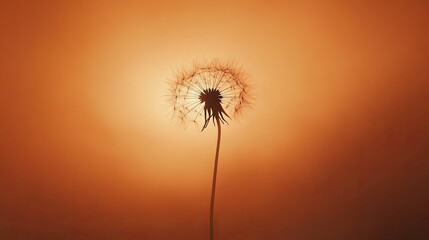 Fototapeta premium A single dandelion seed head silhouetted against a glowing orange sunset sky, symbolizing hope and beauty in simplicity.