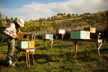 Beekeeper Okanagan Valley