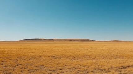 Expansive desert landscape under a clear blue sky.