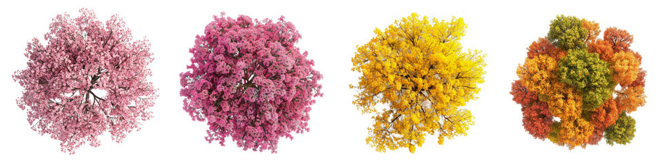 PNG Tree top perspective, element set on transparent background