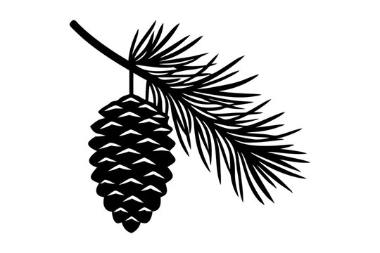 Silhouette of a  Pine Cone on Branch. Vector illustration 