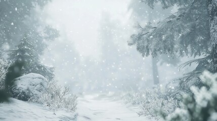 Fototapeta premium Snowy path through a misty winter forest.