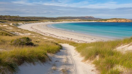 Scenic coastal view of a secluded, curved white sand beach with turquoise water, dunes, and vegetation.