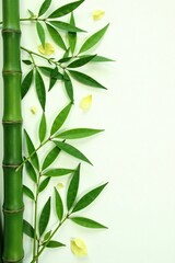 Bamboo leaves scattered on a clean white surface, natural elements, isolated