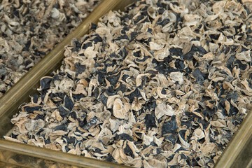 Setas para vender en la puerta de una tienda de productos alimenticios asiáticos. Productos chinos tradicionales tienda Chung Chow City en la ciudad de Nueva York, USA.