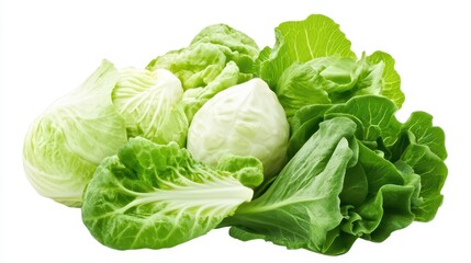 Fresh Green Cabbage and Lettuce, Healthy Vegetables.
