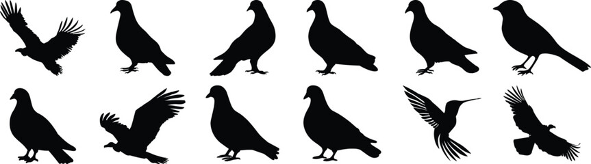 Bird silhouette set vector design big pack of animal illustration and icon