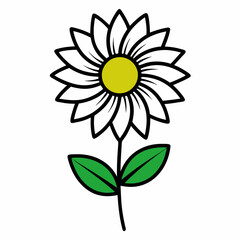 Fototapeta premium flower isolated on white background