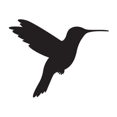 Hamming bird black silhouette vector Illustration