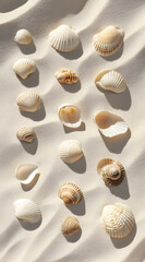 A collection of various seashells arranged on a sandy surface.