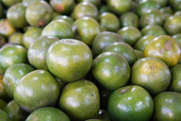 Green sweet oranges in a fruit shop are suitable for use in poster designs, or as illustrations for articles about fruits.