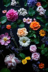 Colorful Flowers Floating on Dark Water