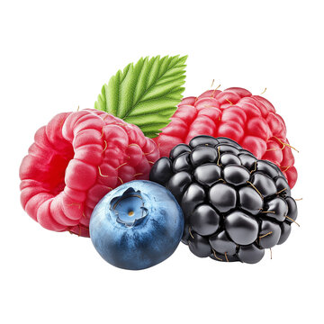 wild berries mix raspberry blueberries blackberries isolated on white background