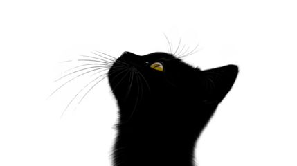 Dark Silhouette of a Cat Looking Upwards, Posed on a Transparent Background for Contrast