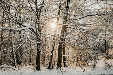 Verschneite Winterlandschaft im Odenwald bei schönem sonnigen Wetter