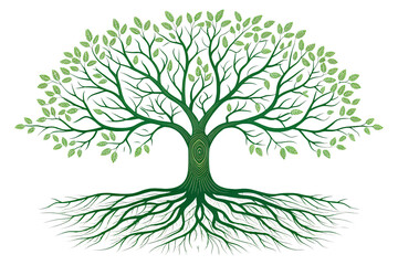 Fototapeta premium A broad tree with intricate roots and a dense canopy of small, vibrant green leaves, suggesting community, balance, and sustainability, isolated on a transparent background