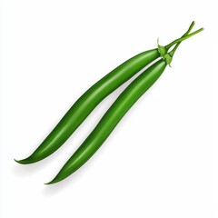 Fototapeta premium Two long green beans with smooth skin, fresh and vibrant, perfect for cooking or salads.