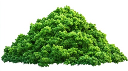 Fototapeta premium Green mossy mound isolated.
