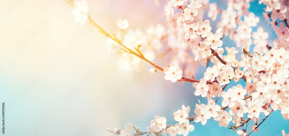 Poster beautiful spring background with branch of blossoming tree and flash of sun in nature. pink spring f