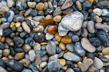 Colorful pebbles scattered along the riverbank with various shapes and sizes in the sunlight during a serene afternoon