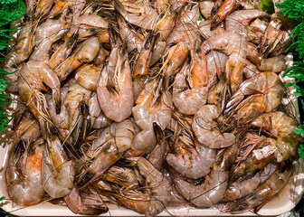 Fresh vaname shrimp displayed on market