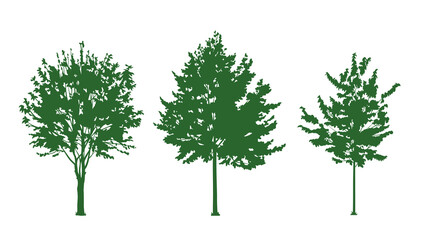 Obraz premium Collection of tree silhouettes. Bush, tree. Set of elements isolated on white background. Vector illustration.