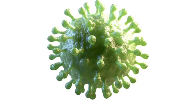 3D green bacteria cell featuring a spherical design with small projections, ideal for scientific or medical visuals. Isolated on transparent background