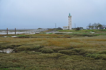 Coastal landscape with a lighthouse and marshland on a cloudy day near the shore