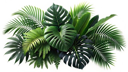 8K Silhouette Tropical Foliage Arrangement: Monstera, Palm, Fern