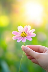 Gently Holding a Delicate Wildflower Amidst a Serene Park Landscape in Soft Sunlight
