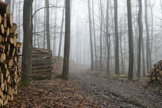 stack of wood